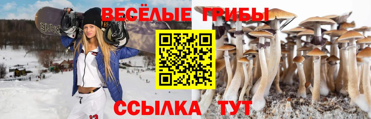 Мефедрон кристаллы  Избербаш  Alpha PVP СК кристаллы  Вход с VPN  Гашиш  Купить закладку  КЕТАМИН  Cocaine  Каннабис 